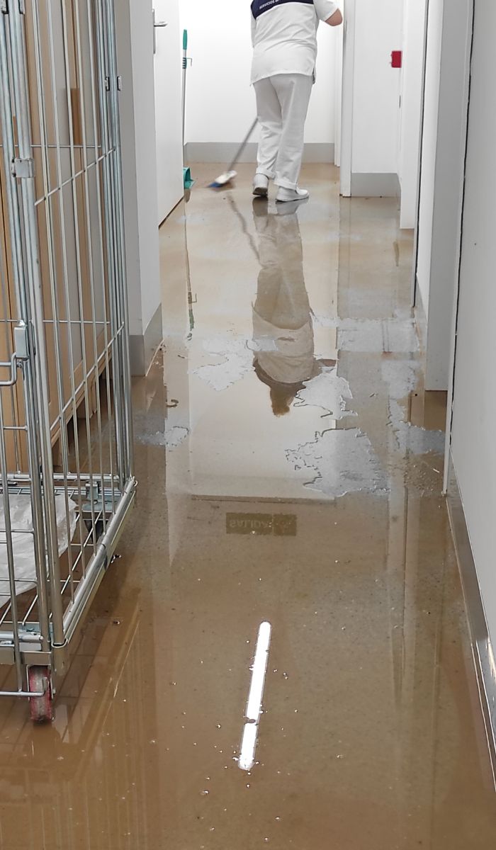 How to Handle Complaints About Commercial Cleaning Services